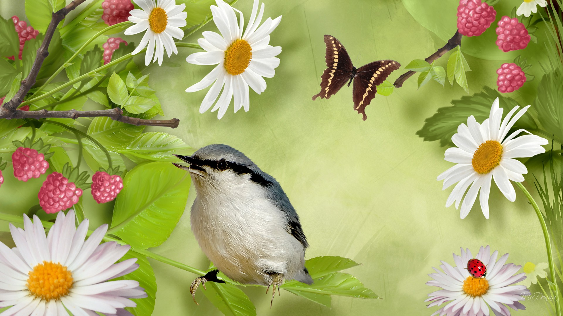 How to Attract Birds and Butterflies to Your Garden